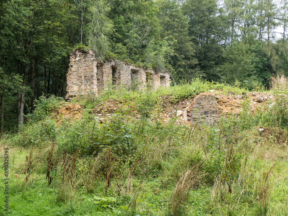 castle ruin in the deep wood