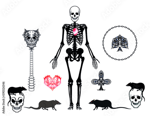 skeleton heart skulls rats ghotic necromancer occultism symbol picture