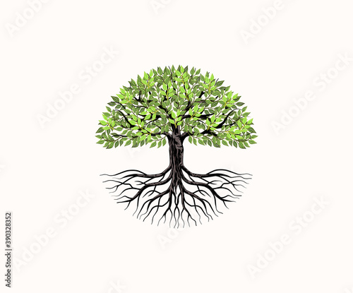 Naklejka Tree and roots vector, tree with round shape