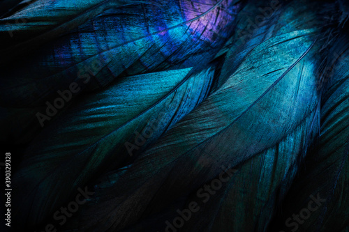 Stylish dark feather texture background  photo