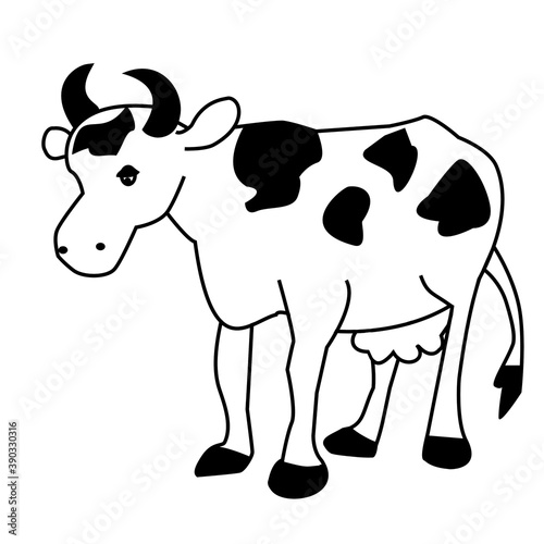 cow on a white