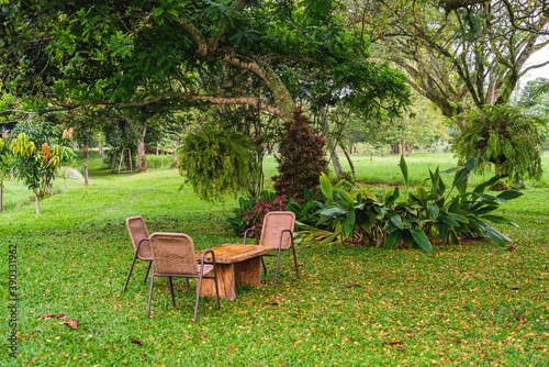 garden table and chairs forest jungle style