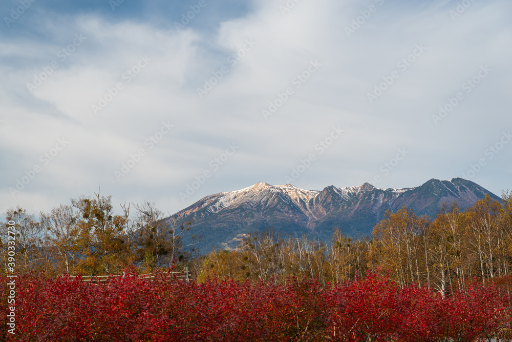 秋の開田高原　御嶽山