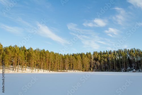 Wallpaper Mural winter in the Russian forest on the lake Torontodigital.ca