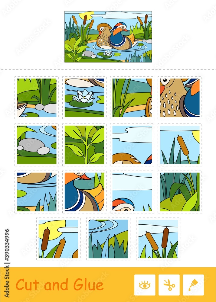 Cut and glue vector puzzle learning children game with colorful image of mandarin ducks floating on a forest river near reeds and water lilies. Wild birds educational activity for kids