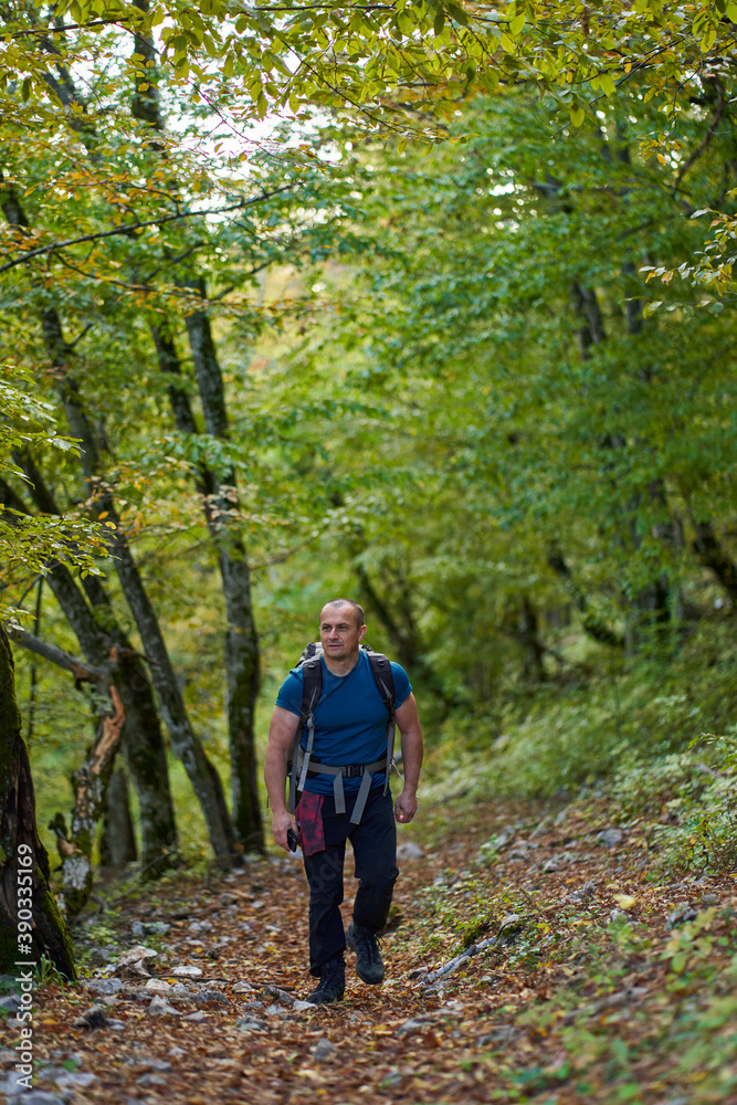 Man hiking into the forest