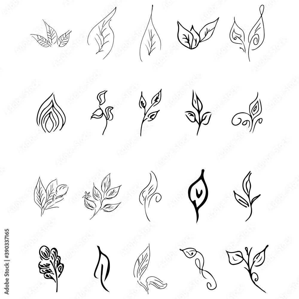 Doodle collection of 20 hand-drawn floral elements. Big collection of 20 hand-drawn leaves. Big floral botanical set isolated on a white background Doodle collection of 20 hand-drawn floral elements. Big collection of 20 hand-drawn leaves. Big floral botanical set isolated on a white background