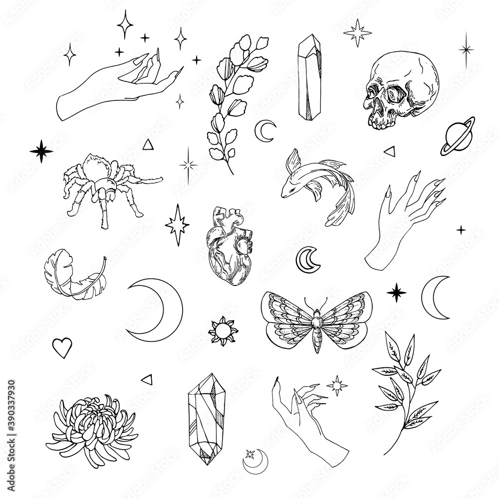 Hand Drawn Vector Illustration Of Mystic Items. Magical Outline Clipart 