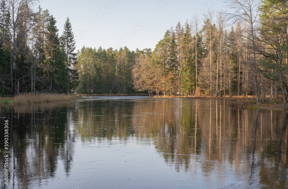 River landscape in late autumn. Farnebofjarden national park in Sweden.