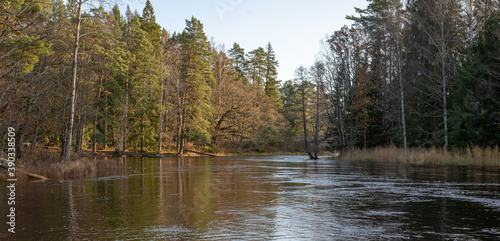 River landscape in late autumn. Farnebofjarden national park in Sweden.