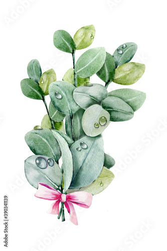 Tableau sur toile Bouquet with eucalyptus sprigs and dew drops