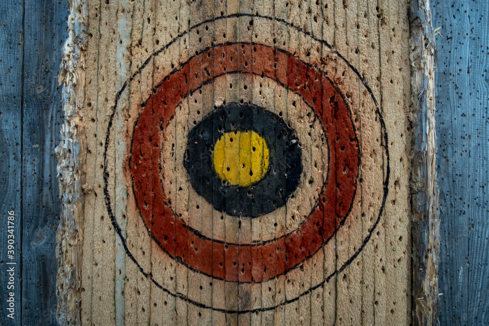 old archery target