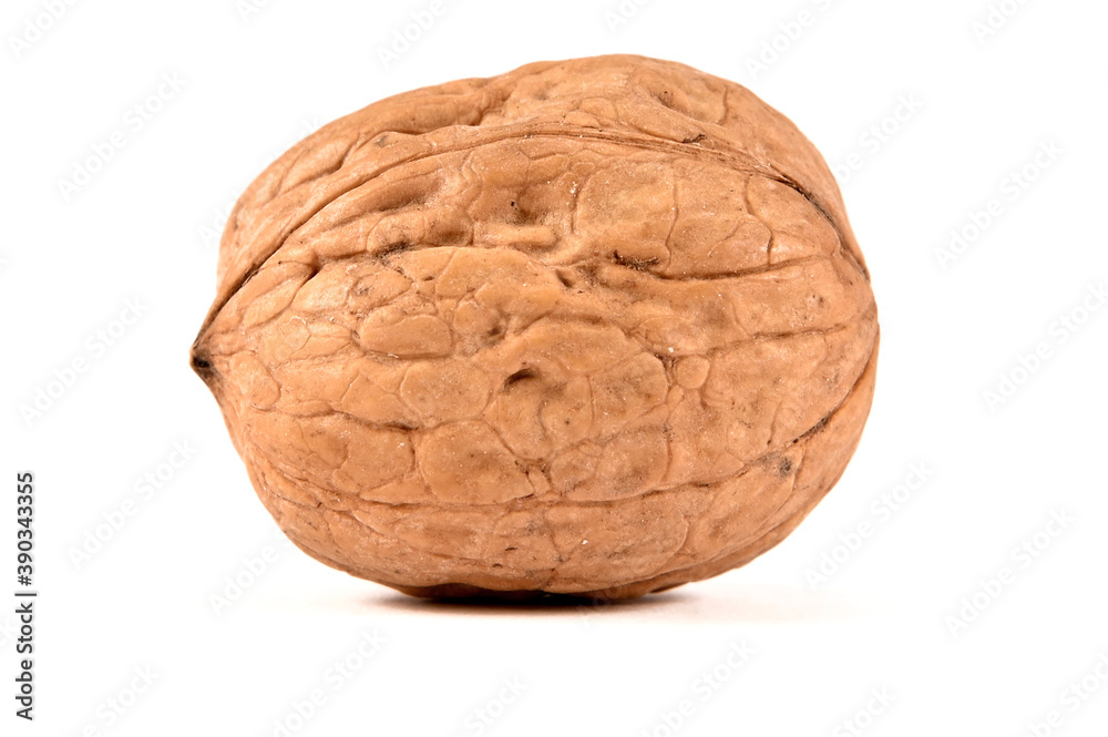 Walnut on a white background Walnut on a white background