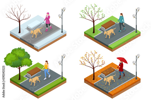 Isometric girl in casual clothes walking in park with golden retriever. Season winter, spring, summer, autumn. Pet care concept. Front view