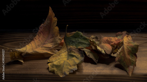 yellow and orange leaves on wooden background