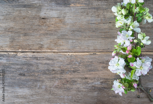 Beautiful background with apple blossom twig on old wooden non paint planks. Space for text, flat lay