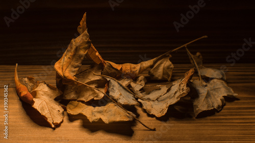 yellow and orange leaves on wooden background