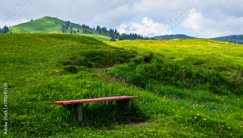 Old wooden bench on the mountains of Swiss with beautiful view. Obwalden, Switzerland. A magical spring landscape with blooming meadows and mountains.