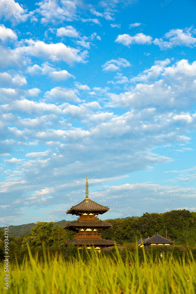 秋の法起寺 秋の法起寺