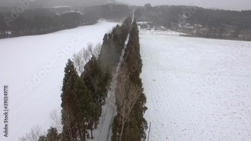 函館市大雪 - ドローン映像(トラックイン)