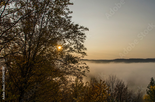 Fototapeta Naklejka Na Ścianę i Meble -  Poranna mgła - Bieszczady 