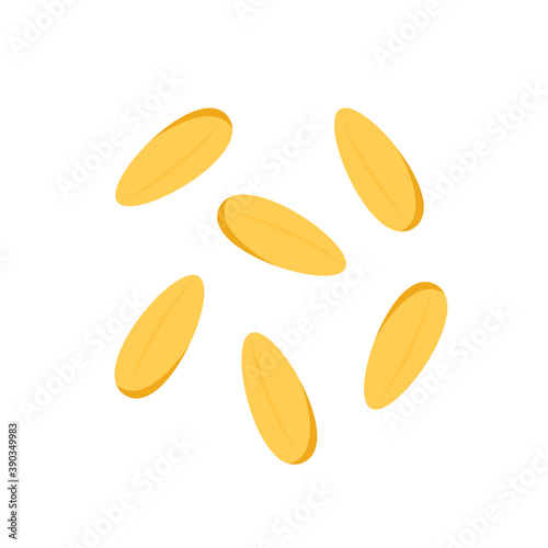 Rice seed vector. Rice seed on white background. paddy.