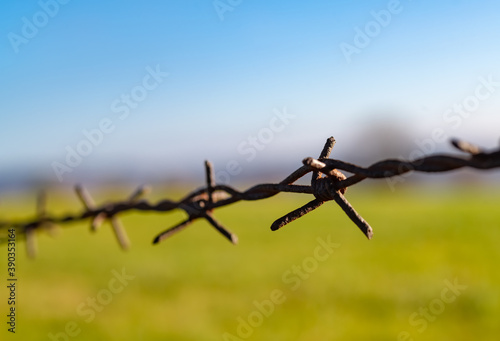 Stacheldraht Zaun Eisen Rost Korrosion alt Barriere Weide selektiver Fokus Nahaufnahme Makro Absperrung Hindernis Symbol Ikone Draht Deutschland Vieh Bauer Grundstück Sperrgebiet Grenze privat 