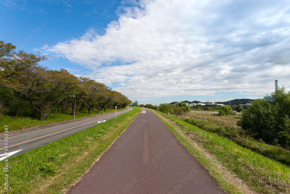 府中多摩川かぜのみち（東京都府中市是政）