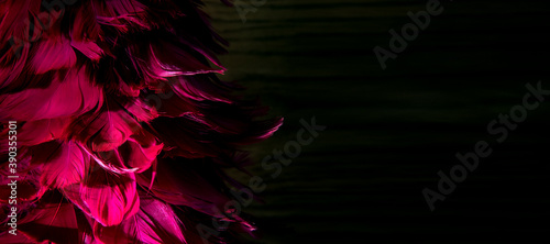 Abstrakter Webbanner mit pinken Federn, Weihnachtsbaum isoliert, Close-Up