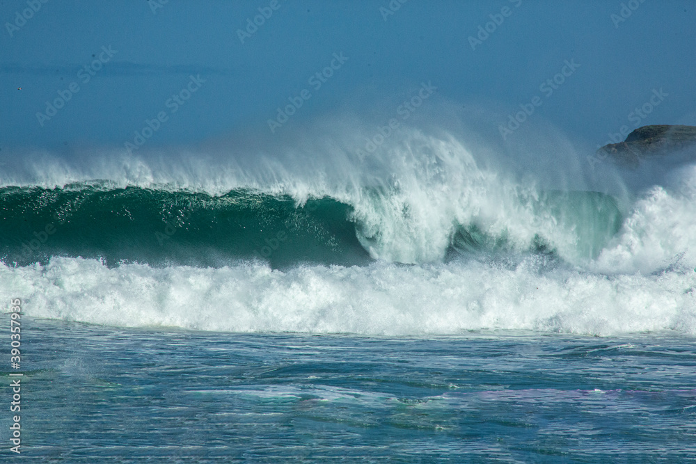 Gigantes olas impactan contra la playa