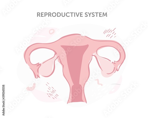 Diagram of the female reproductive system for books and booklets. Female uterus with ovaries hand-drawn on a white background. Health of girls and women. Cartoon vector illustration