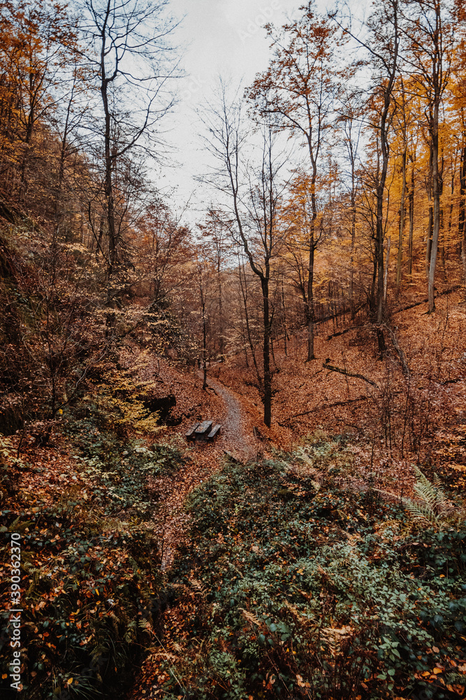 Drachenschlucht in Thüringen bei Eisenach im Herbst