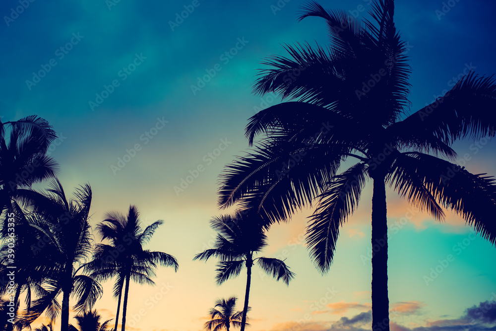 Dramatic Tropical Island Vacation Travel Background With Palm Trees at Sunset