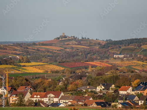 Weinberge im Herbst photo