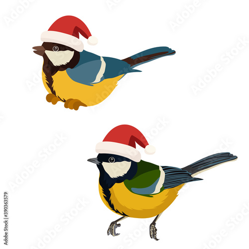 Christmas tit bird in red santa hat. Vector illustration.