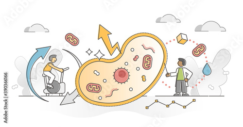 Cellular respiration as metabolic chemical energy ATP cycle outline concept