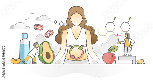 Metabolism chemical reaction as food conversion to energy outline concept