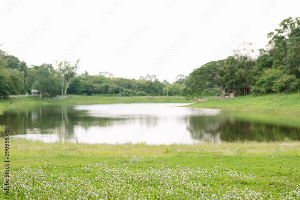 Khao Ruak Reservoir at Namtok Samlan National Park in Saraburi Thailand is a reservoir that tourists come to relax or camping during the holiday Khao Ruak Reservoir at Namtok Samlan National Park in Saraburi Thailand is a reservoir that tourists come to relax or camping during the holiday