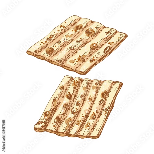 Matzo - jewish traditional food. Vector vintage hatching color illustration.