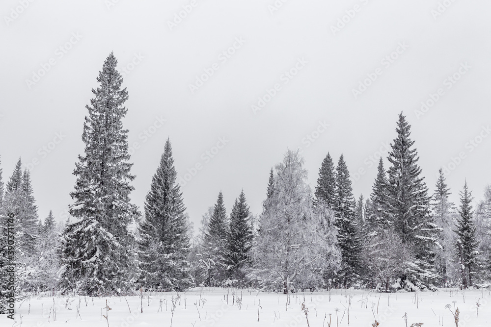 Obraz premium Winter landscape. Zyuratkul national Park, Chelyabinsk region, South Ural, Russia.