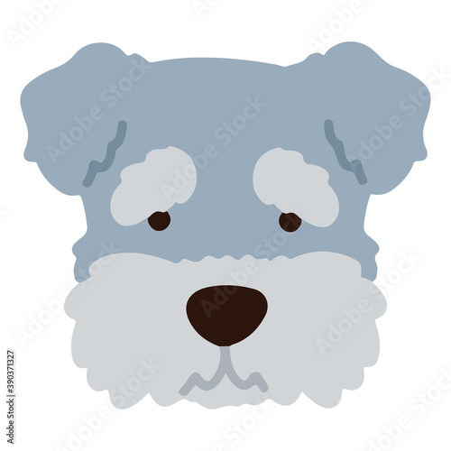 Miniature Schnauzer simple flat colored
