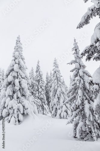 Winter landscape. Zyuratkul national Park, Chelyabinsk region, South Ural, Russia.