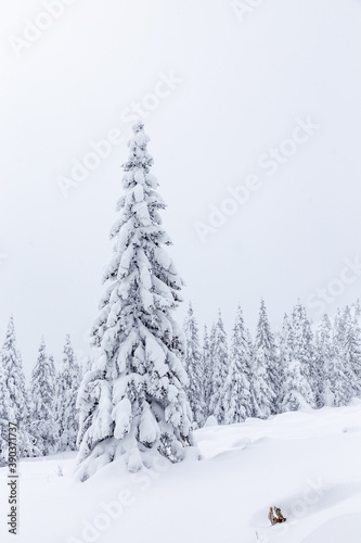 Winter landscape. Zyuratkul national Park, Chelyabinsk region, South Ural, Russia.