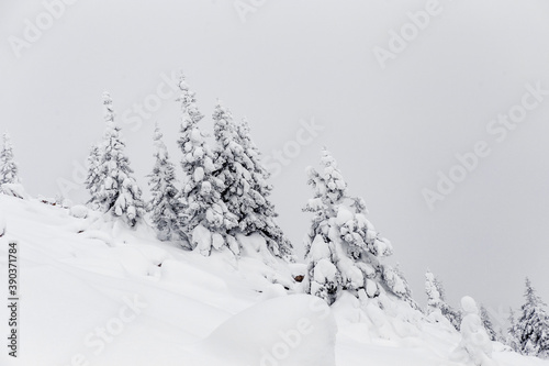 Winter landscape. Zyuratkul national Park  Chelyabinsk region  South Ural  Russia.