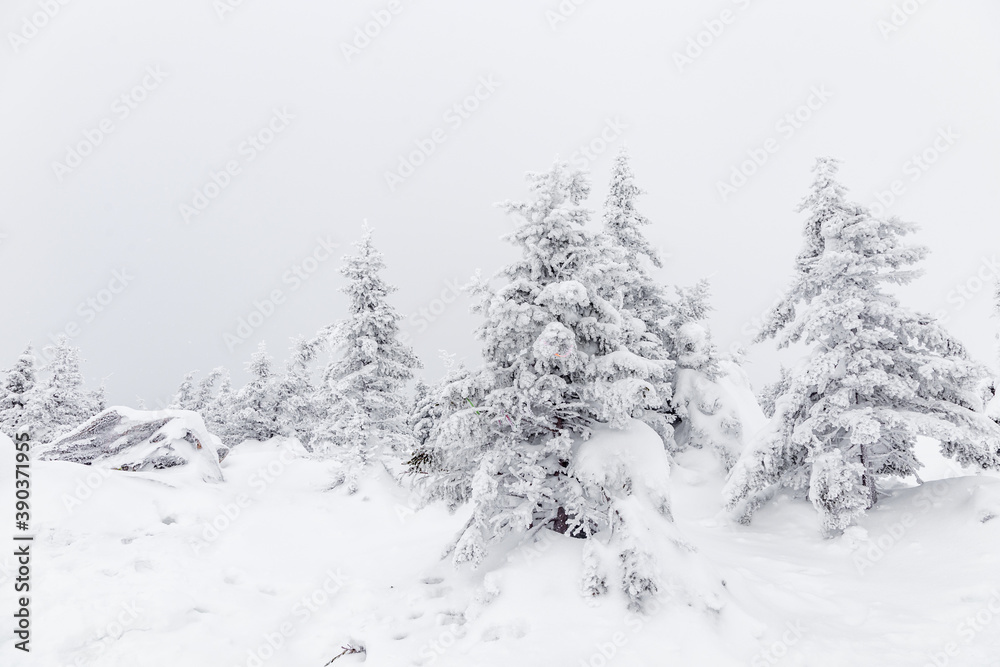 Winter landscape. Zyuratkul national Park, Chelyabinsk region, South Ural, Russia.