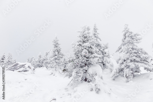 Winter landscape. Zyuratkul national Park, Chelyabinsk region, South Ural, Russia.