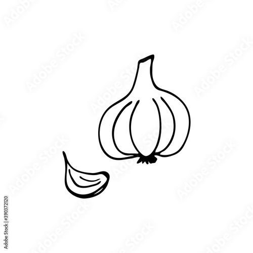 Doodle tomatoes. Hand-drawn images. Vector for posters, web, textiles, children's coloring pages.
