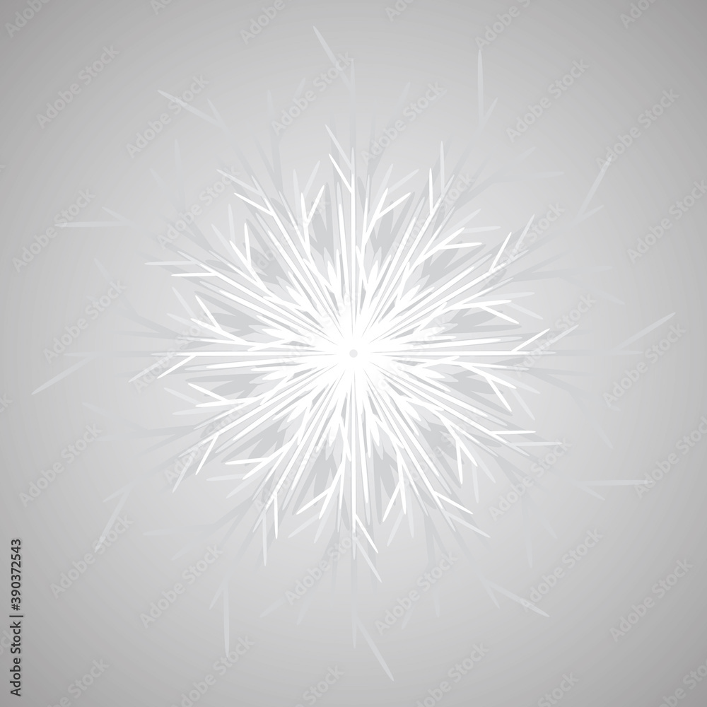 vector, isolated, on gray background, white snowflake vector, isolated, on gray background, white snowflake