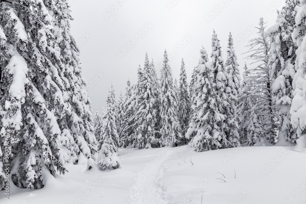 Naklejka premium Winter landscape. Zyuratkul national Park, Chelyabinsk region, South Ural, Russia