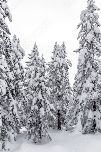 Winter landscape. Zyuratkul national Park, Chelyabinsk region, South Ural, Russia.